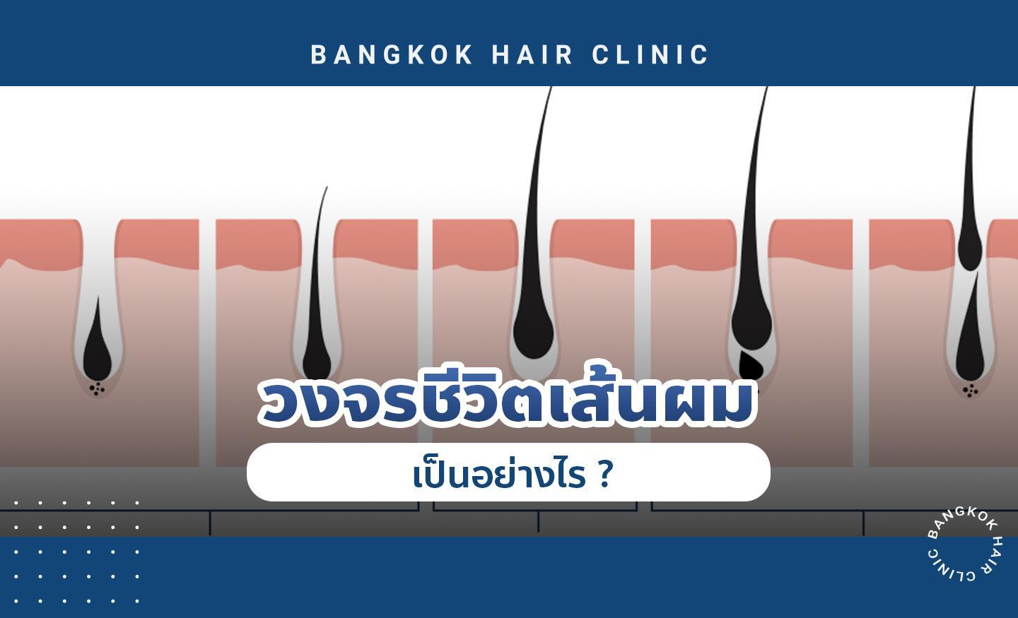 เจาะลึกวงจรชีวิตเส้นผม พร้อมตอบทุกคำถามเรื่องผมที่คุณสงสัย !
