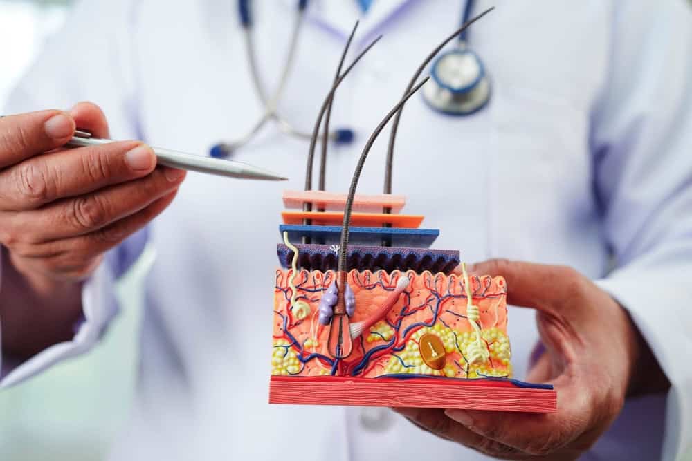 A doctor explaining the temporal point in a hair transplant procedure